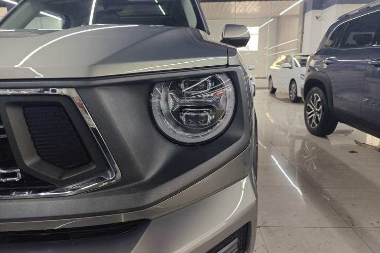 Used Haval H Dog 2023 2.0T Two-Wheel Drive Chaoye Version Plus