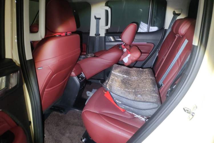 Used Tank 300 2025 2.4T Diesel Version