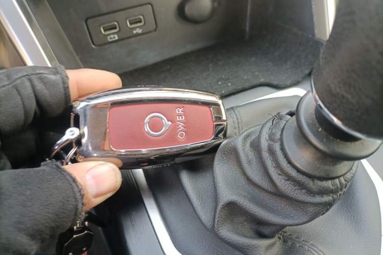 Used Great Wall Poer 2019 2.0T Commercial Version Manual Diesel Two-Wheel Drive Elite Long-Box GW4D20M
