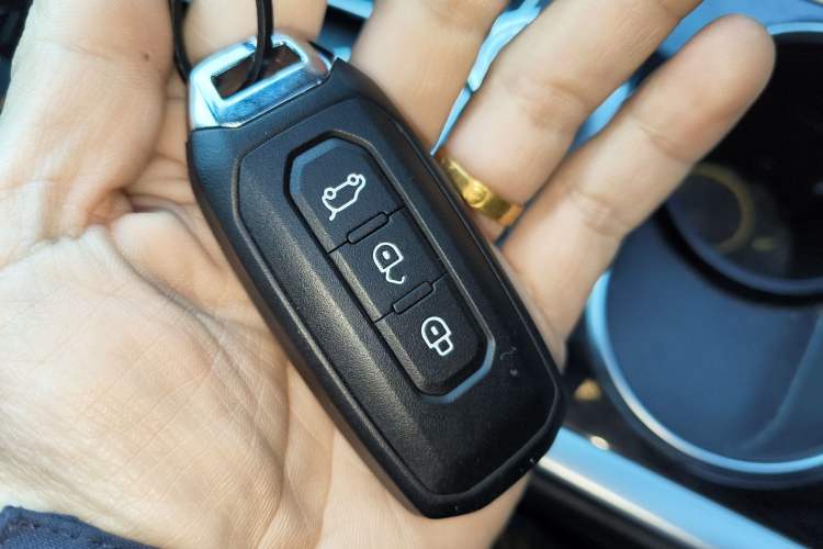 Used Ford Territory 2020 Lingjie S EcoBoost 145 CVT Platinum Edition