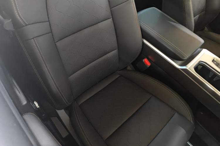 Used Haval DARGO 2024 2.0T DCT Chinese Rural Dog Edition
