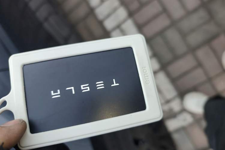 Used Tesla Model Y 2021 Standard Range Rear-Wheel Drive Version
