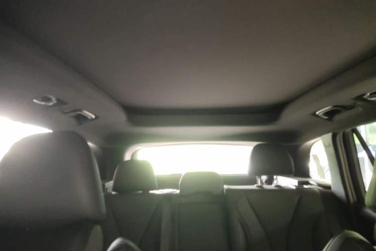 Used Geely Auto Monjaro L 2024 2.0TD DCT EVO Two-Wheel Drive Long-Range Version Headliner