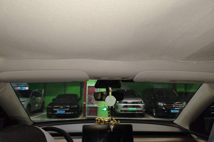 Used Tesla Model Y 2021 Standard Range Rear-Wheel Drive Version Headliner