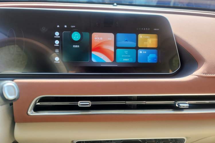 Used ORA Good Cat 2024 401 km Range Luxury Version 135 kW Audio And AC Panel