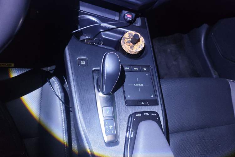 Used Lexus UX New Energy 2020 300e Pure·Joy Edition
