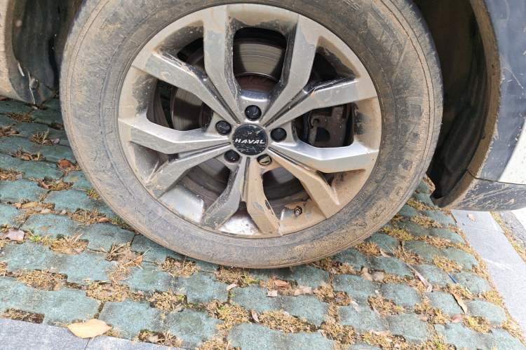 Used Haval H6 2021 National Trend Edition 1.5T Automatic Champion Version