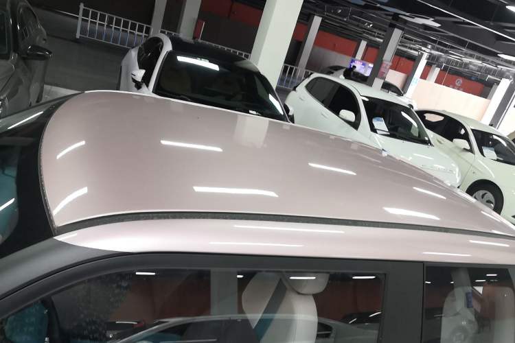 Used Qiyuan Lumin 2022 210km Sweet Edition
