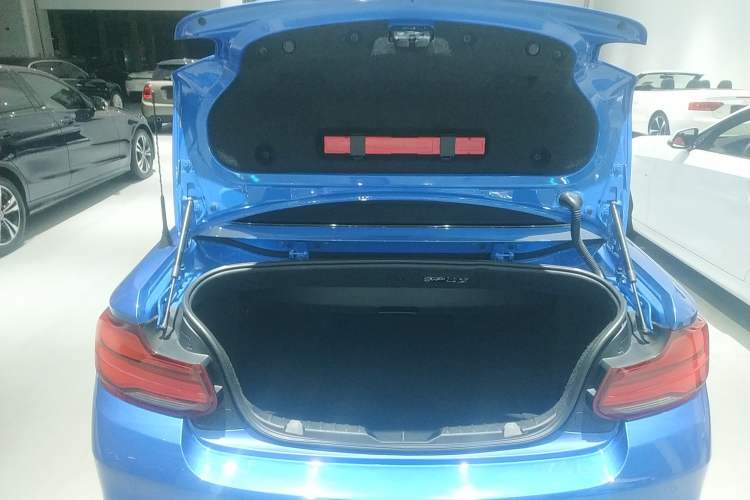 Used BMW 2 Series (Import) 2018 225i Convertible Coupe M Sport Edition
