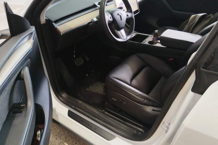 Used Tesla Model Y 2021 Standard Range Rear-Wheel Drive Version
