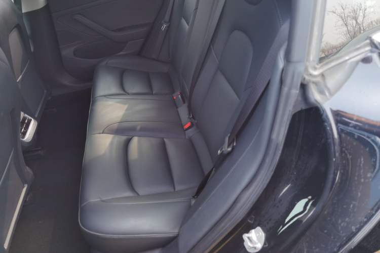 Used Tesla Model 3 2020 Revised Version Standard Range Rear-Wheel Drive – Upgraded Edition