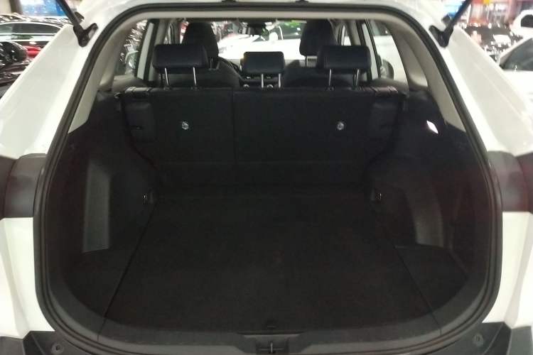 Used Toyota Wildlander 2023 2.0L CVT Four-Wheel Drive Luxury PLUS Edition