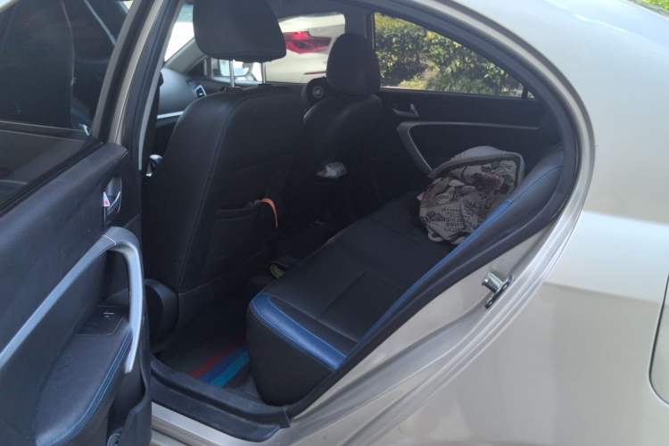 Used Geely Auto Emgrand New Energy 2018 EV350 Adventurous Personal Edition
