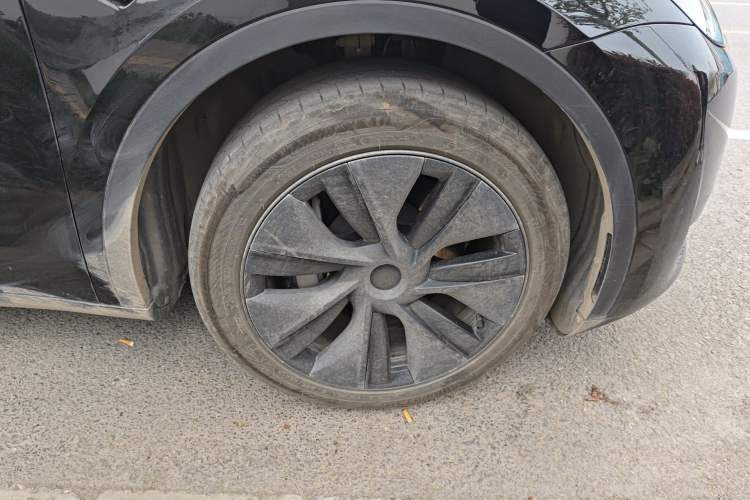 Used Tesla Model Y 2024 Rear-Wheel-Drive Version Exterior 7