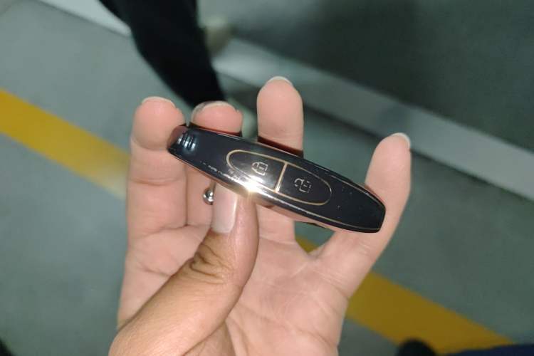 Used VOYAH FREE 2024 Ultra-Long Range Intelligent Driving Version Interior 1