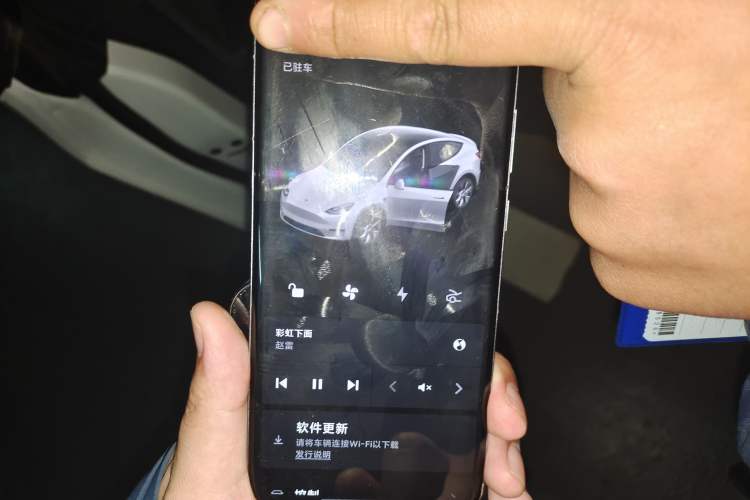 Used Tesla Model Y 2021 Standard Range Rear-Wheel Drive Version
