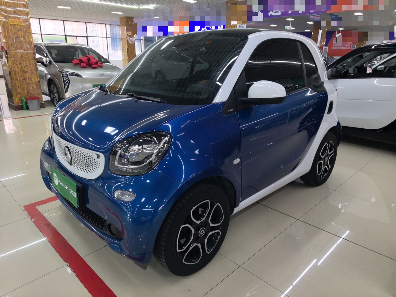 Parte inferior delantera