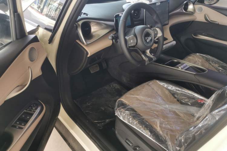 Used BYD Dolphin 2025 420km Free Edition Left Front Seat