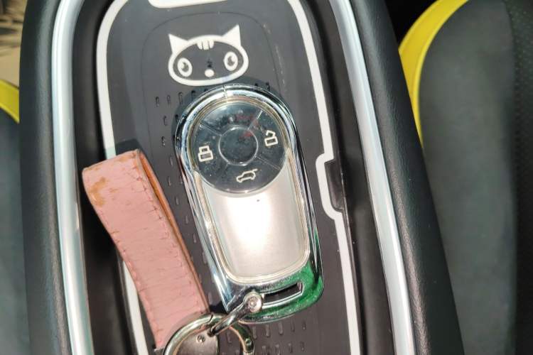 Used ORA Good Cat GT 2023 Mulan Edition 401 km Premium Version
