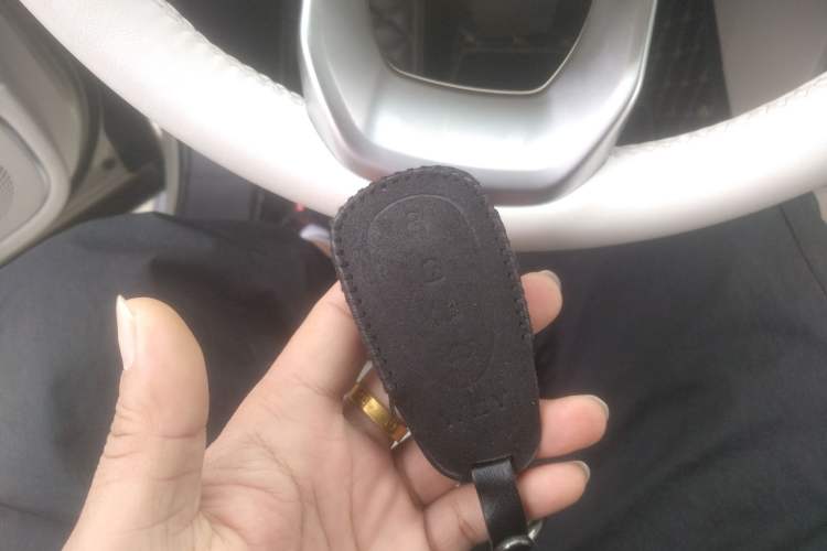 Used Wey Lanshan 2023 Four-Wheel Drive Ultra-Long Range Version