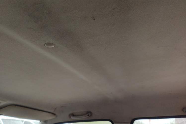 Used Suzuki Wagon R X5 2013 Cruise Edition 1.4L VVT Standard Model Headliner