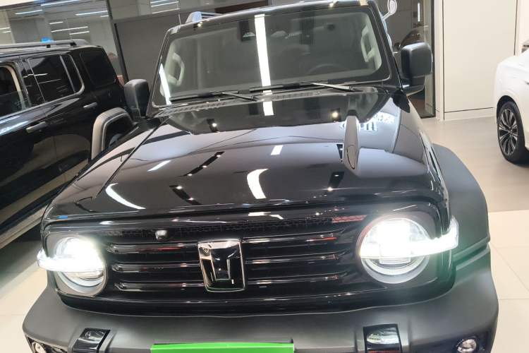 Used Tank 300 2024 2.0T Conqueror