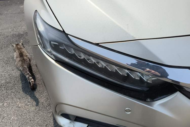 Used Honda Inspire 2019 260TURBO Elite Edition China V Standard Right Front Headlight