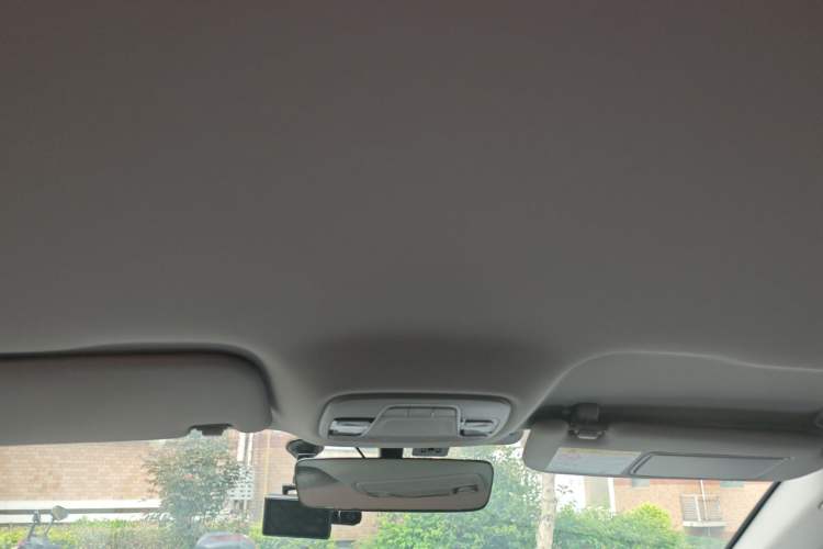 Used Geometry A 2022 Pro 430KM Commuter Edition Headliner