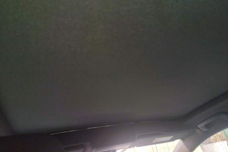 Used Volkswagen ID.4 X 2022 Pure Long-Range Version Headliner