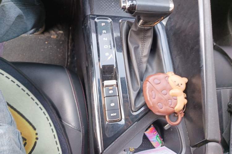 Used Baojun Valli 2021 1.5T Yili Pasture CVT Luxury Model
