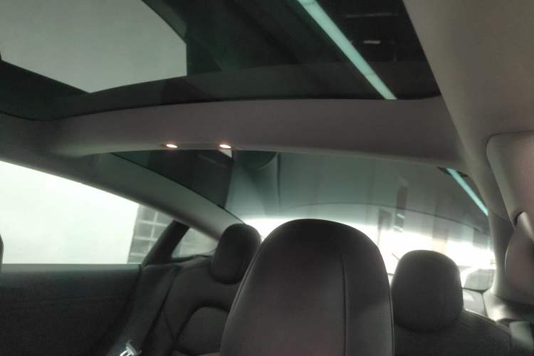 Used Tesla Model 3 (Import) 2019 Long-Range Rear-Wheel-Drive Version