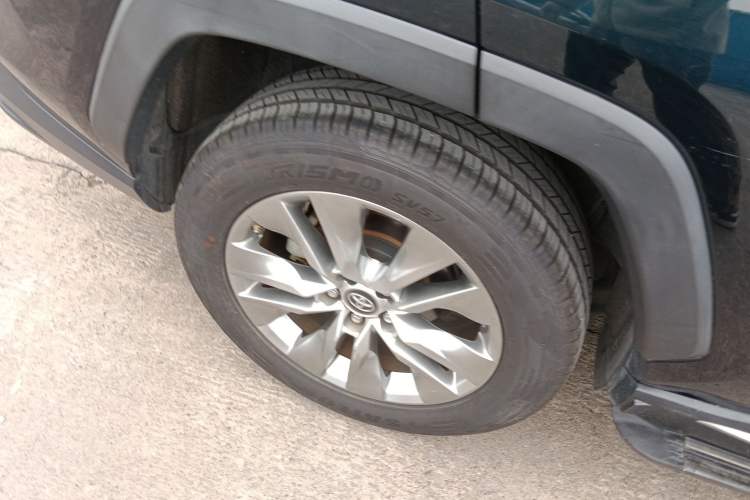 Used Toyota Wildlander 2020 2.0L CVT Two-Wheel Drive Luxury Edition
