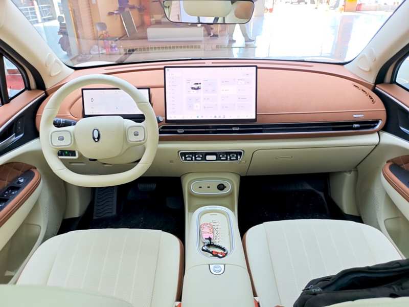 Used ORA Good Cat 2025 Model, 430 km Prestige Version — 9
