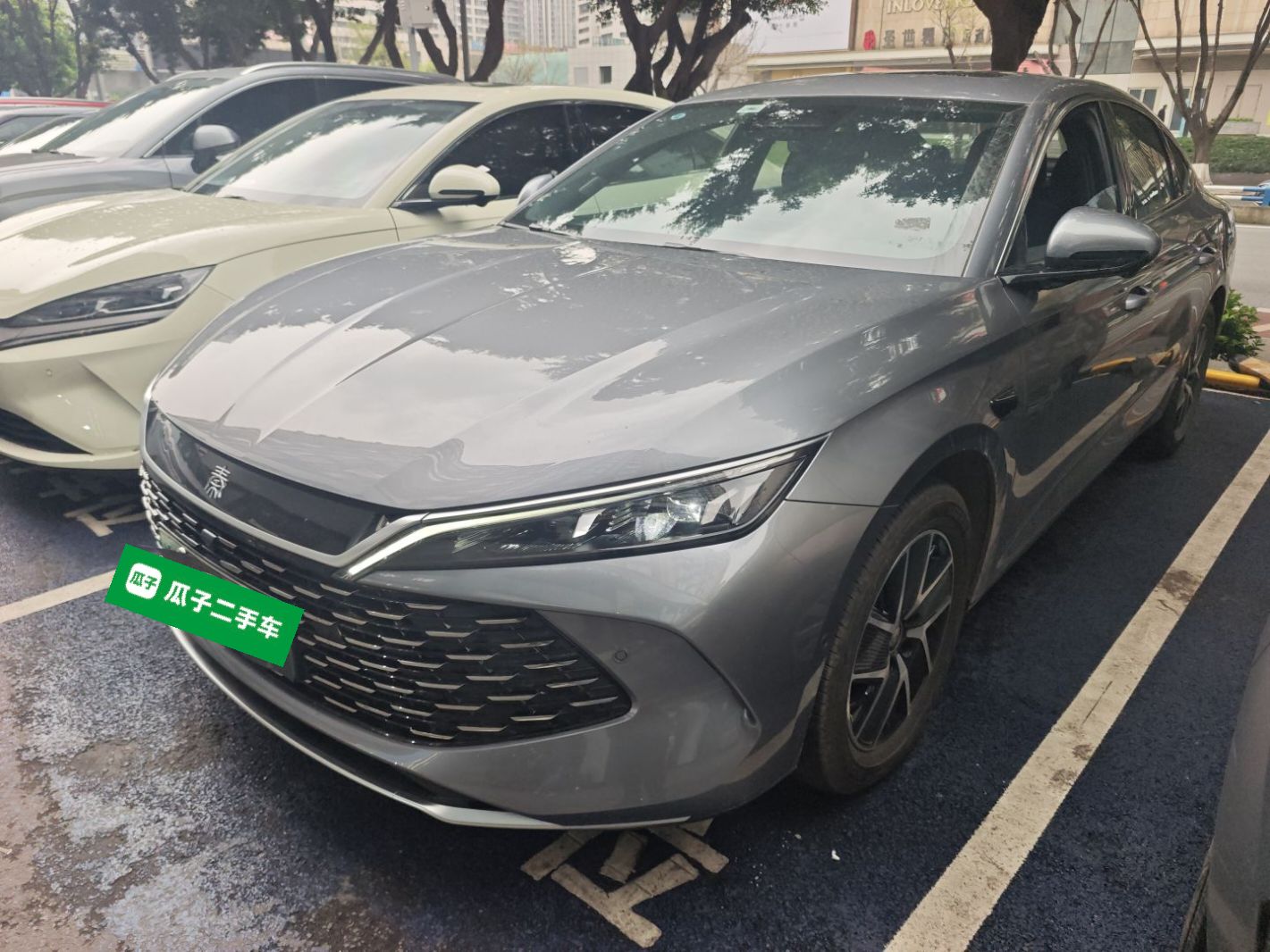 Parte inferior delantera