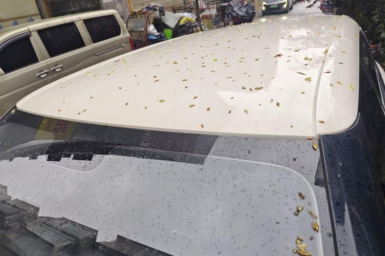 Used Dongfeng NAMMI 01 2024 330 Lite Roof