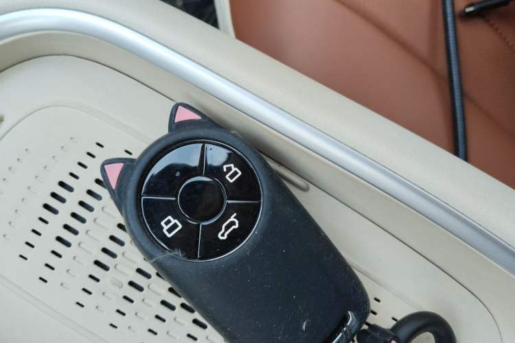 Used ORA Good Cat 2024 401 km Luxury Version