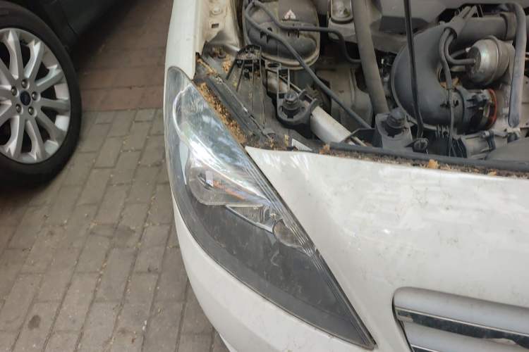 Used Mercedes-Benz B-Class 2012 B 180
