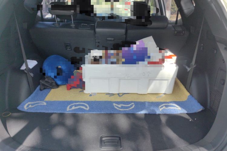 Used Hyundai Santa Fe 2013 Revised Version 2.4L Automatic All-Wheel Drive Smart Type