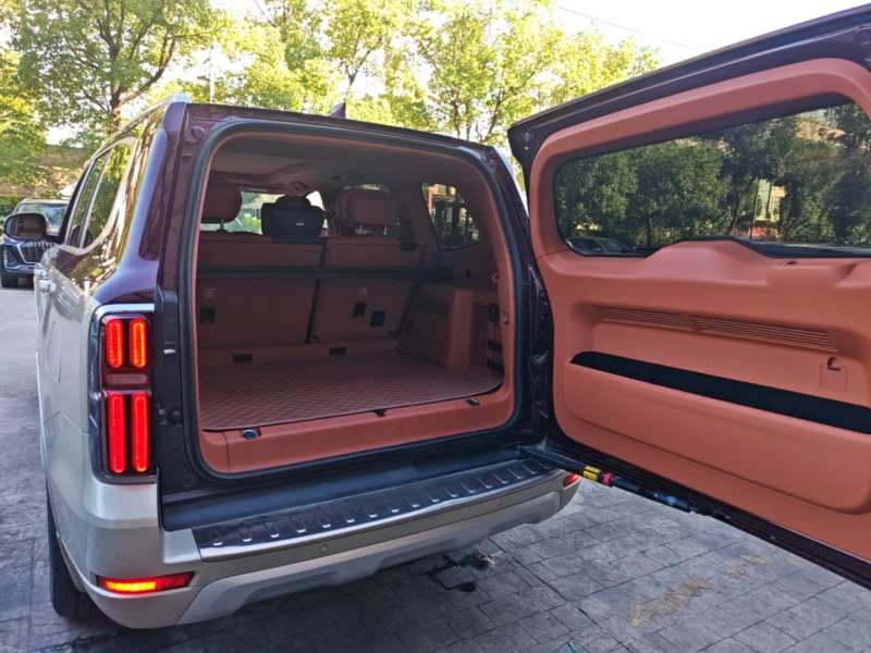 Used Tank 500 2022 3.0T High-End Custom Edition 5 Seats — 18