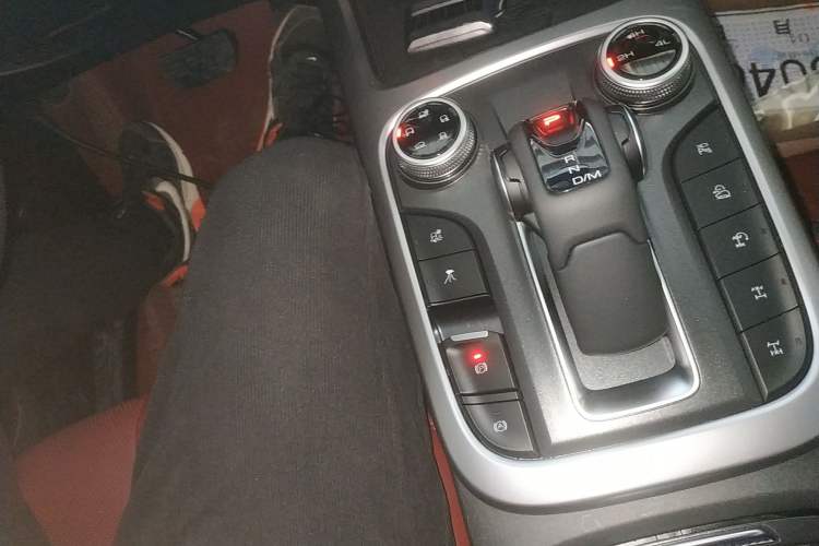 Used Tank 300 2024 2.0T Conqueror