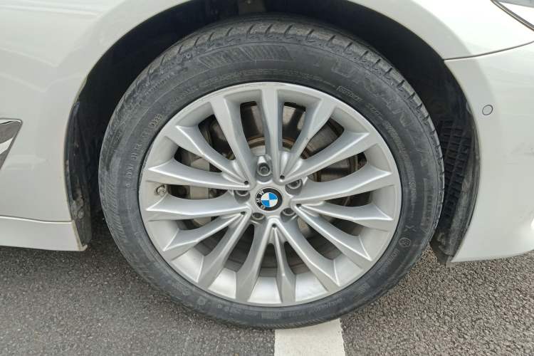 Used BMW 5 Series New Energy 2020 530Le Luxury Package
