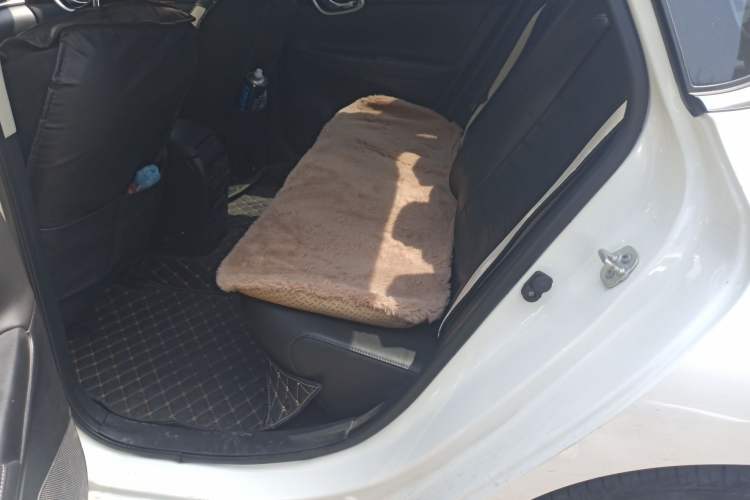 Used Nissan Sylphy 2022 Classic 1.6XL CVT Luxury Edition Left Rear Seat