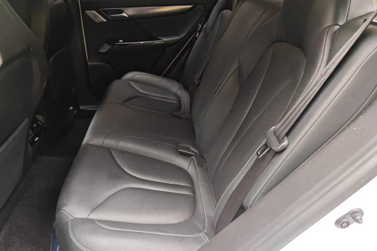 Used XPeng G3 2020 520 Smart Edition Left Rear Seat
