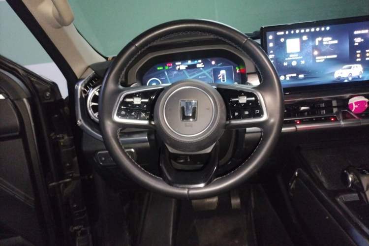 Used Tank 400 New Energy 2023 Hi4-T Super Edition
