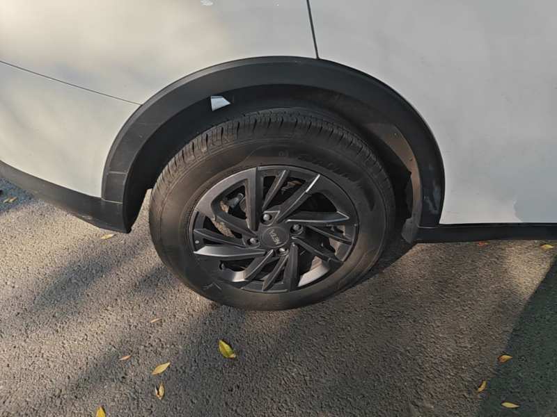 Used NETA V 2021 Standard Range Entertainment Edition — 25