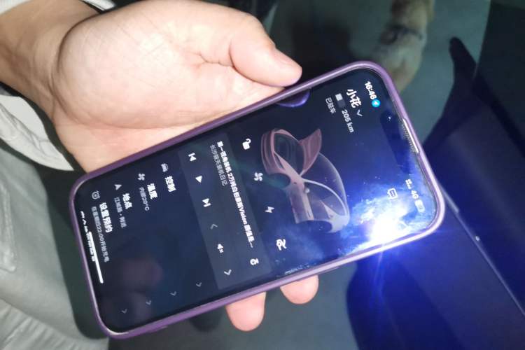 Used Tesla Model 3 2025 Rear-Wheel-Drive Version Vehicle Key