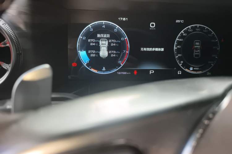 Used Tank 300 2024 2.0T Conqueror