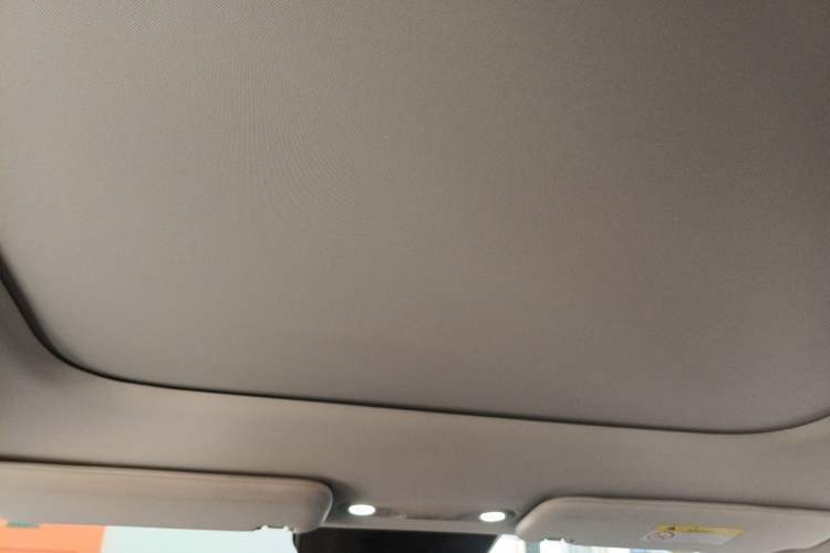 Used AION V 2024 Aion Tyrannosaurus 650 LiDAR Edition Headliner