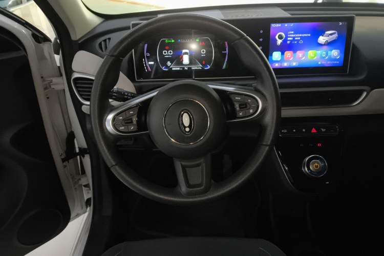 Used ORA White Cat 2020 305 km Luxury Version Steering Wheel