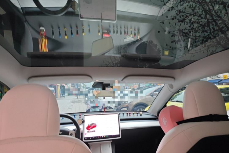 Used Tesla Model Y 2021 Standard Range Rear-Wheel Drive Version